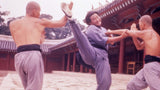 The Shaolin Plot (Blu-ray) Limited Edition slipcase version -Eureka- TerracottaDistribution