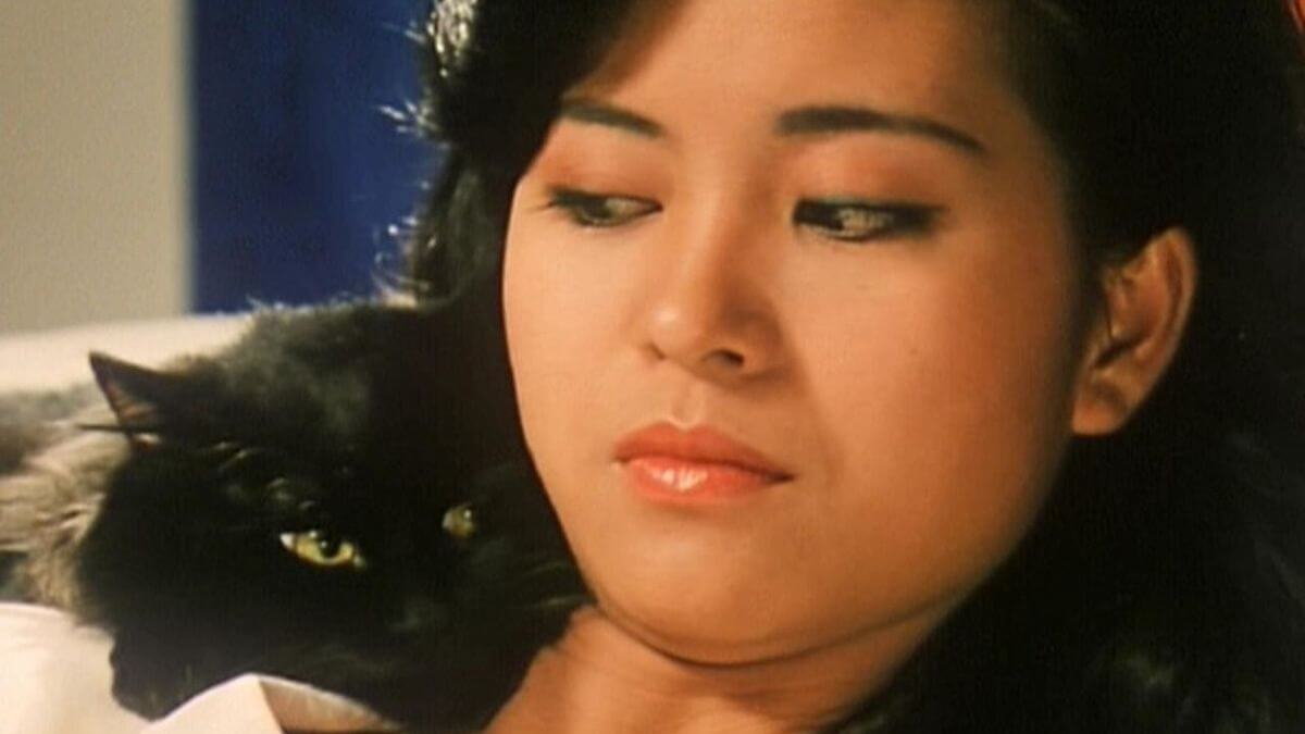 THE CAT (1992) bluray slipcase terracotta store limited edition