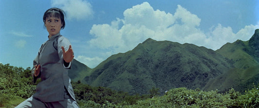 When TaeKwonDo Strikes aka Sting of the Dragon Master