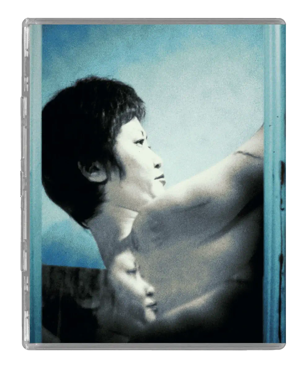 Visitor Q bluray back cover Radiance Films