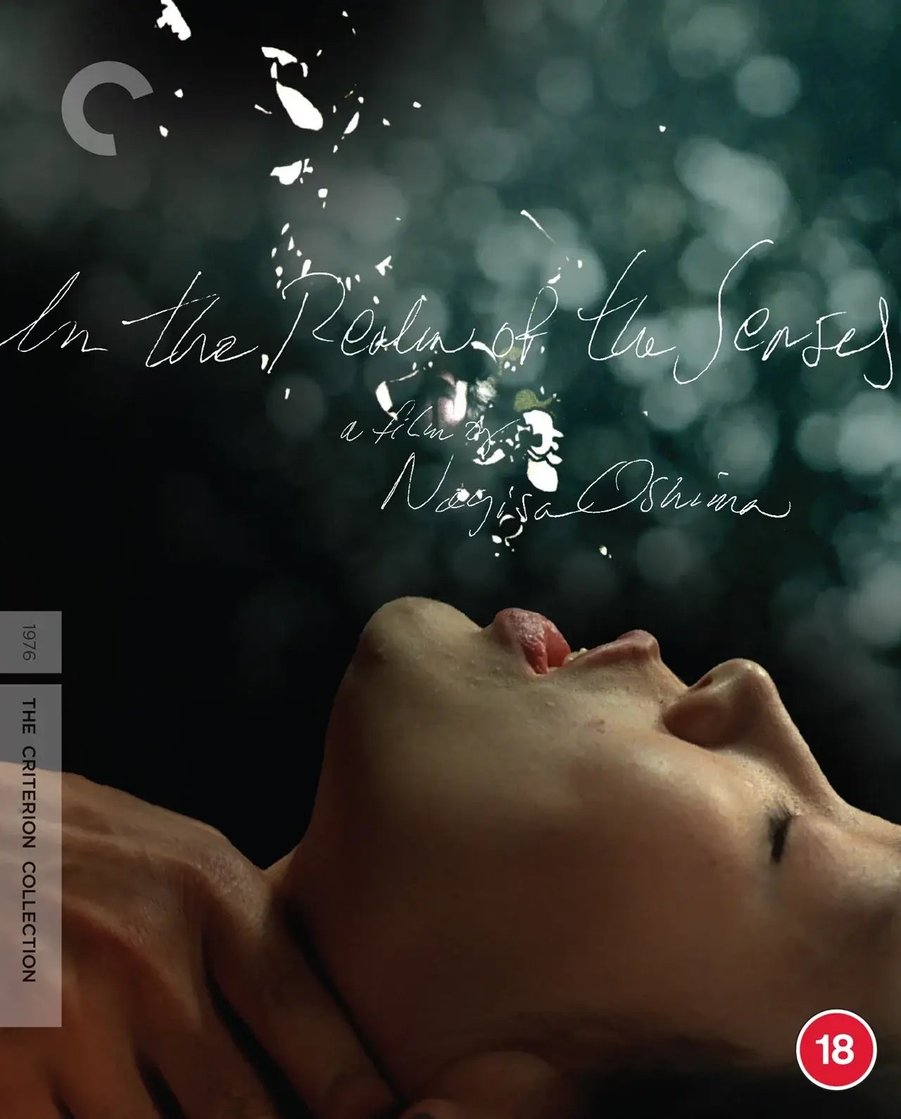 IN THE REALM OF THE SENSES (1976) bluray criterion collection Terracotta Distribution