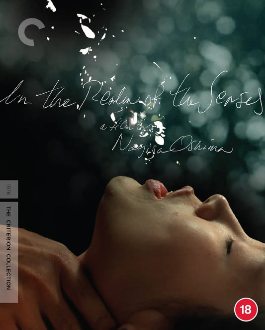 IN THE REALM OF THE SENSES (1976) bluray criterion collection Terracotta Distribution