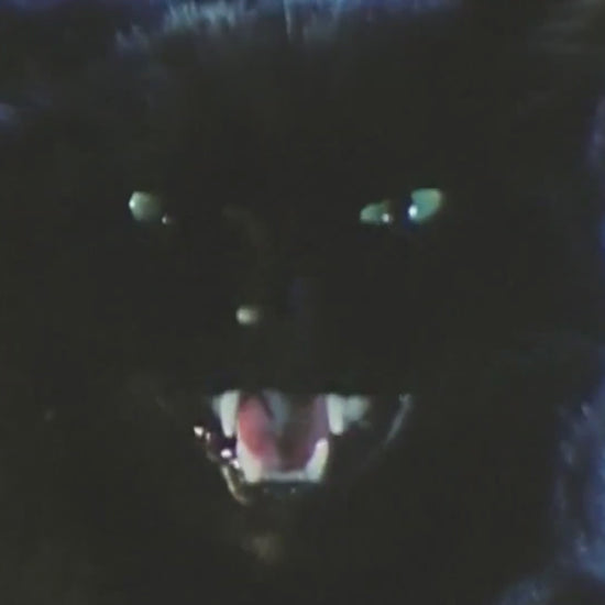 THE CAT (1992) cat fight clip Terracotta Distribution