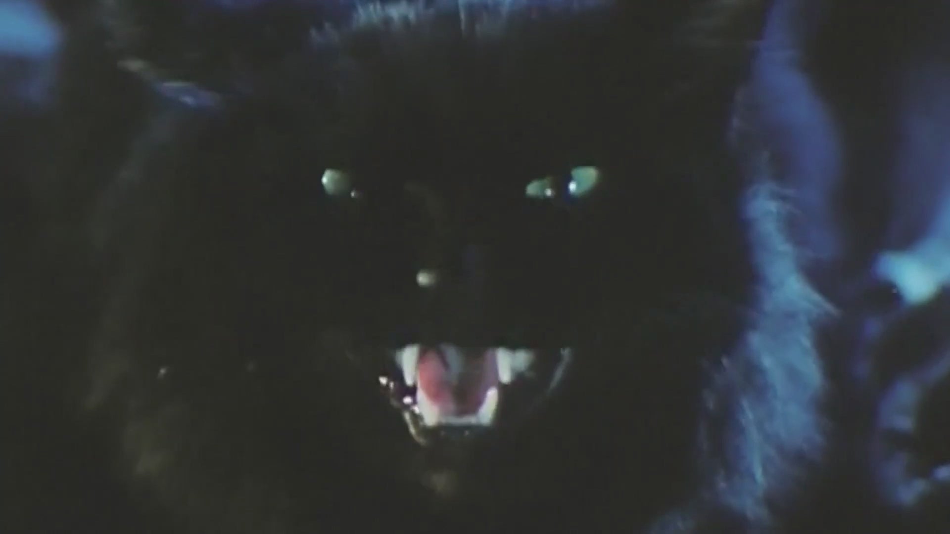 THE CAT (1992) cat fight clip Terracotta Distribution