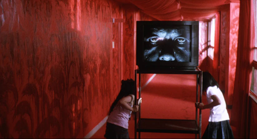 STRANGE CIRCUS (2005) directed by Sion Sono, Blu-ray available on the Terracotta Distribution store