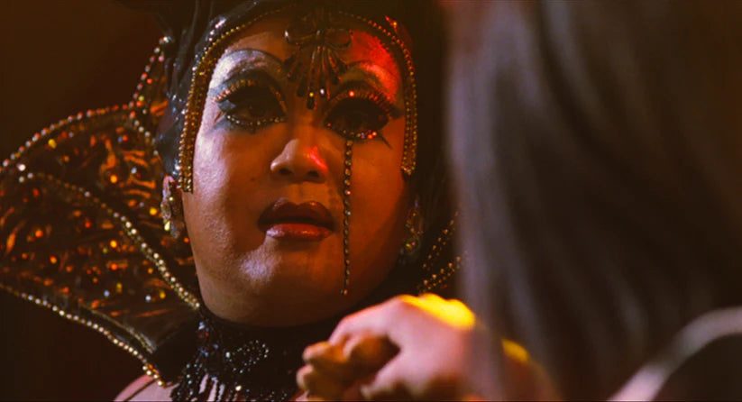 STRANGE CIRCUS (2005) directed by Sion Sono, Blu-ray available on the Terracotta store