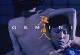 Gemini (blu ray) standard version -Third Window Films- TerracottaDistribution