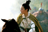 Mulan (DVD) -cine asia- TerracottaDistribution