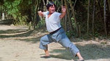Three Films with Sammo Hung: The Iron-Fisted Monk / The Magnificent Butcher / Eastern Condors -Eureka- TerracottaDistribution